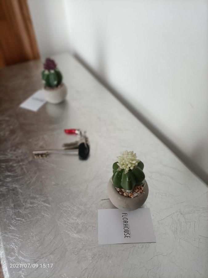 Florhouse Pacini Leilighet CTA Eksteriør bilde